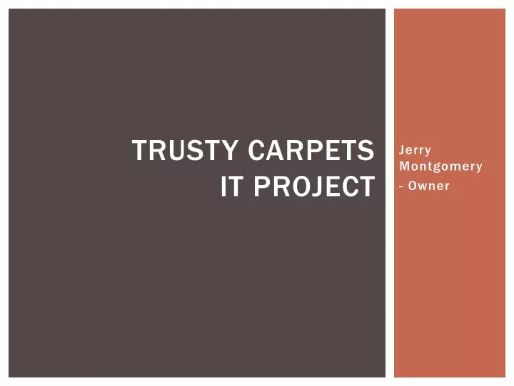 trusty carpets it project