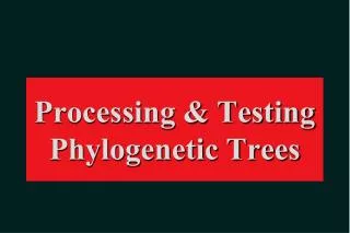 Processing &amp; Testing Phylogenetic Trees