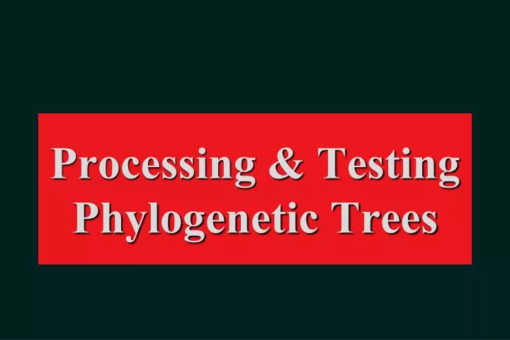 processing testing phylogenetic trees
