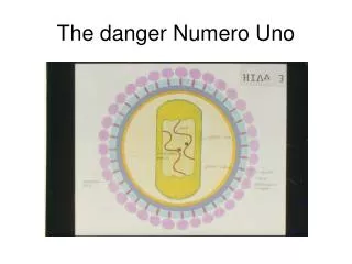 The danger Numero Uno