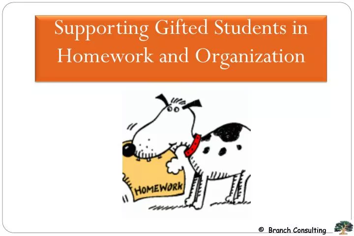 supporting gifted students in homework and organization