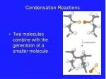 Condensation Reactions - slide 1