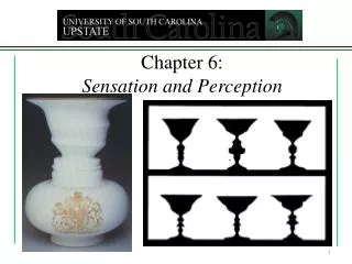 Chapter 6: Sensation and Perception