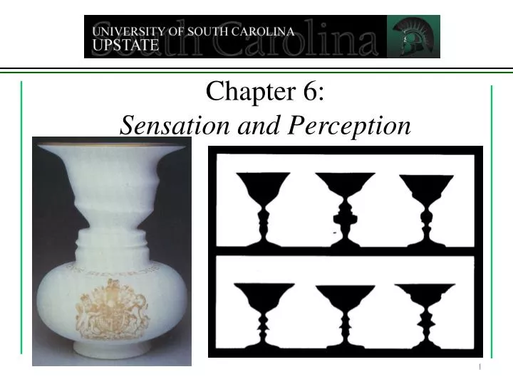 chapter 6 sensation and perception