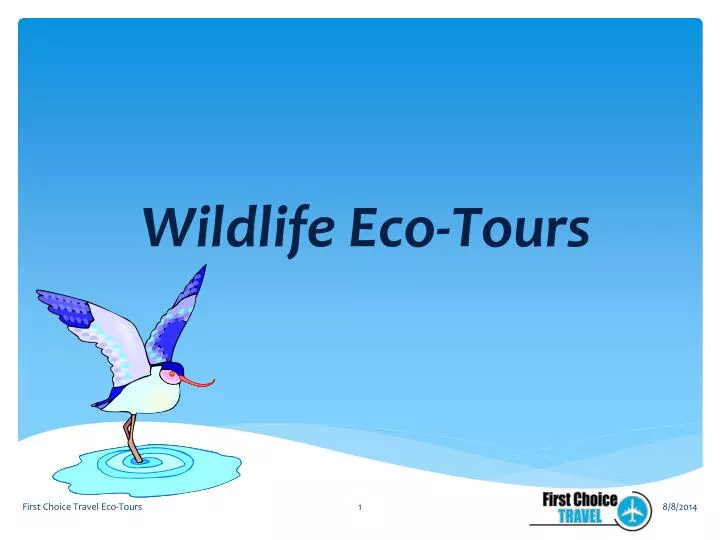 wildlife eco tours