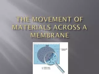 THE MOVEMENT OF MATERIALS ACROSS A MEMBRANE