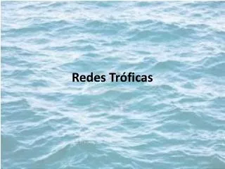 redes tr ficas