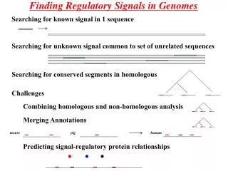 Finding Regulatory Signals in Genomes