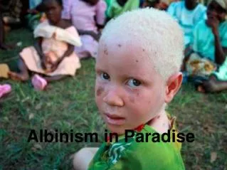 Albinism in Paradise
