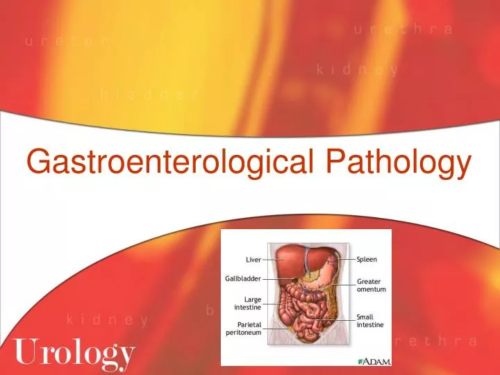 gastroenterological pathology