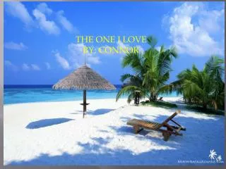 THE ONE I LOVE BY : CONNOR
