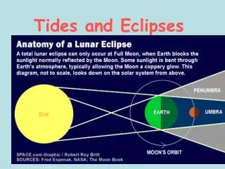 Tides and Eclipses
