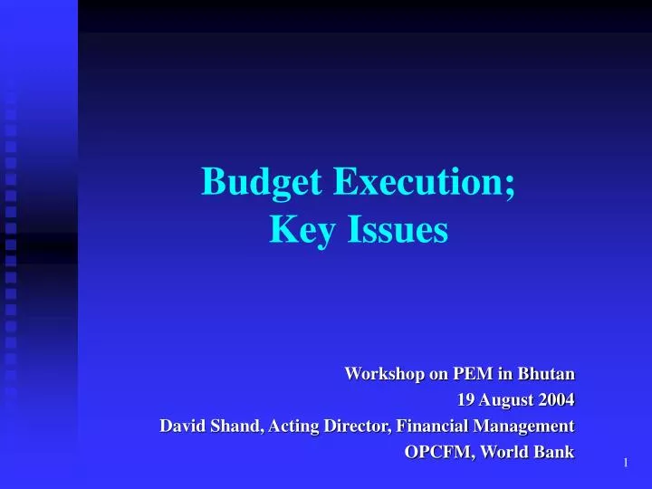 budget execution key issues