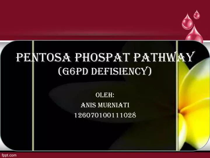pentosa phospat pathway g6pd defisiency