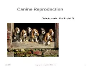 Canine Reprodu ction