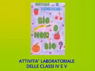 attivita laboratoriale delle classi iv e v