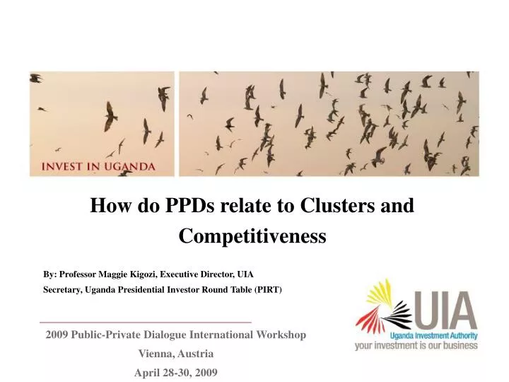 how do ppds relate to clusters and competitiveness