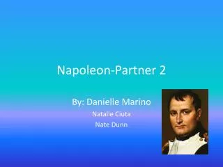 Napoleon-Partner 2