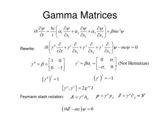 Gamma Matrices