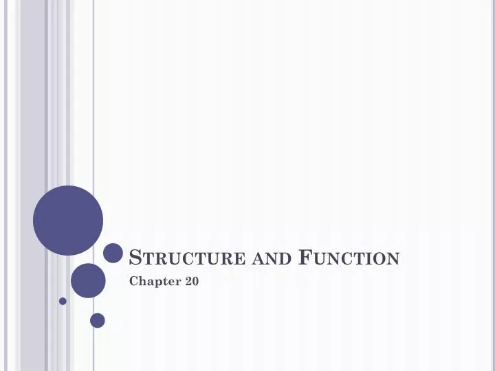 structure and function