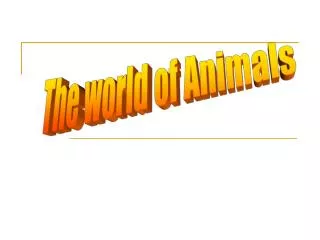The world of Animals