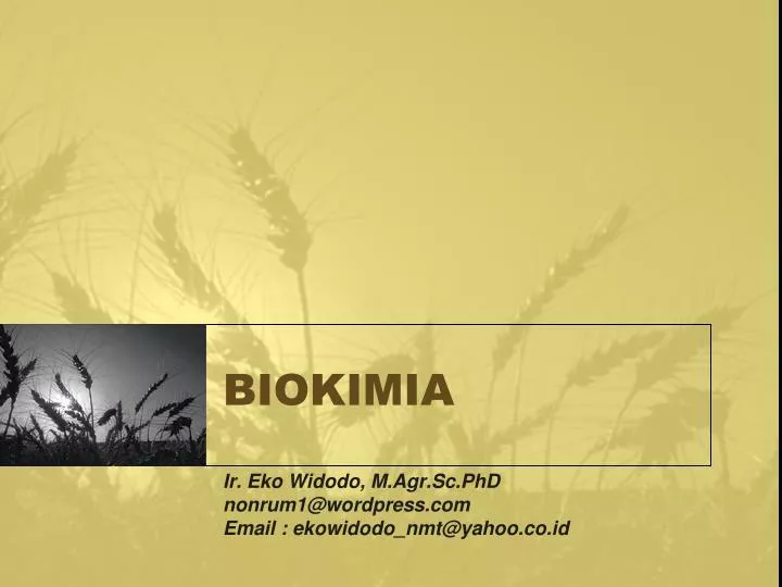 biokimia