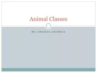 Animal Classes