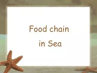 Food chain in Sea