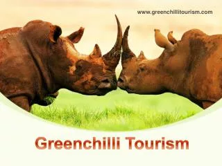 Greenchilli Tourism