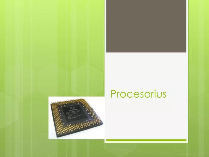 procesorius