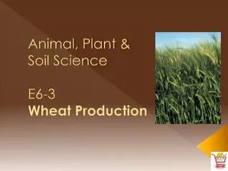 Animal, Plant &amp; Soil Science E6-3 Wheat Production