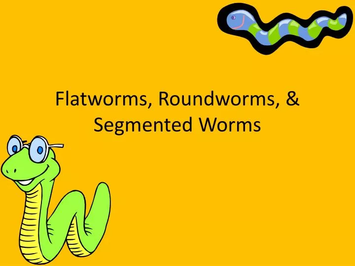 flatworms roundworms segmented worms