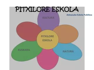 pitxilore eskola