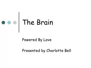 The Brain