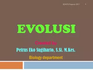 evolusi