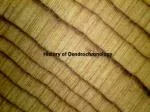 History of Dendrochronology - slide 1