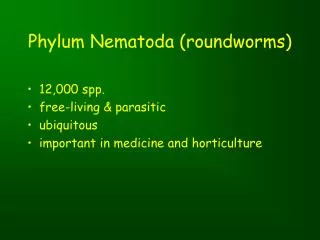 Phylum Nematoda (roundworms)