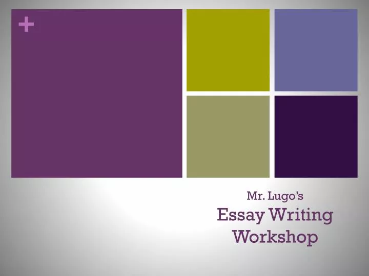 mr lugo s essay writing workshop