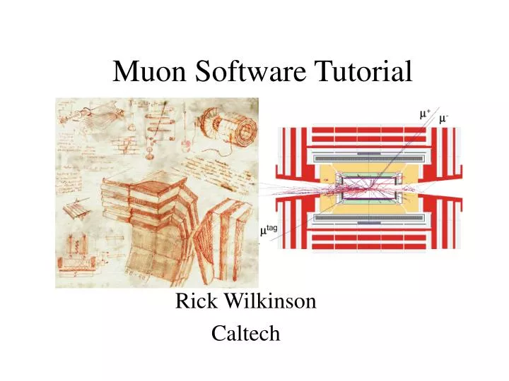 muon software tutorial