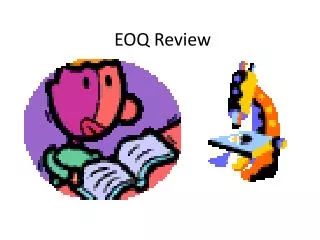 EOQ Review