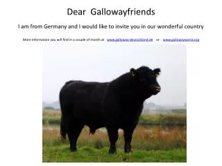Dear Gallowayfriends