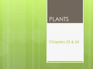 Chapters 23 &amp; 24