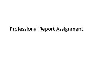 Professional Report Assignment