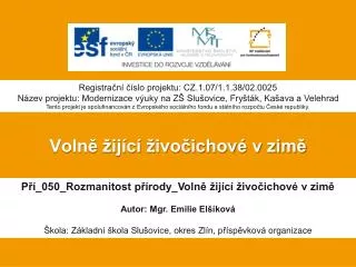voln ij c ivo ichov v zim