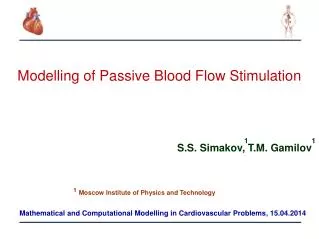 Modelling of Passive Blood Flow Stimulation