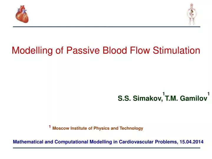 modelling of passive blood flow stimulation