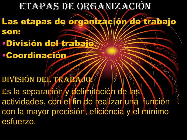 etapas de organizaci n