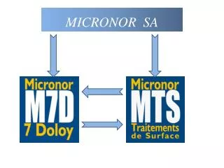 micronor sa