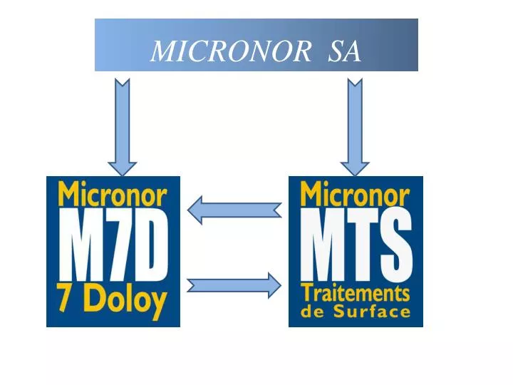 micronor sa