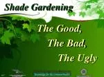 Shade Gardening - slide 1